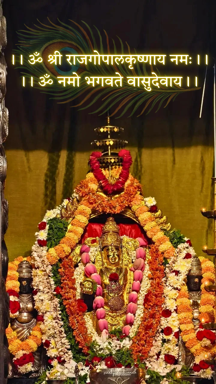 Sree Rajagopala Krishnaswamy Temple Deity