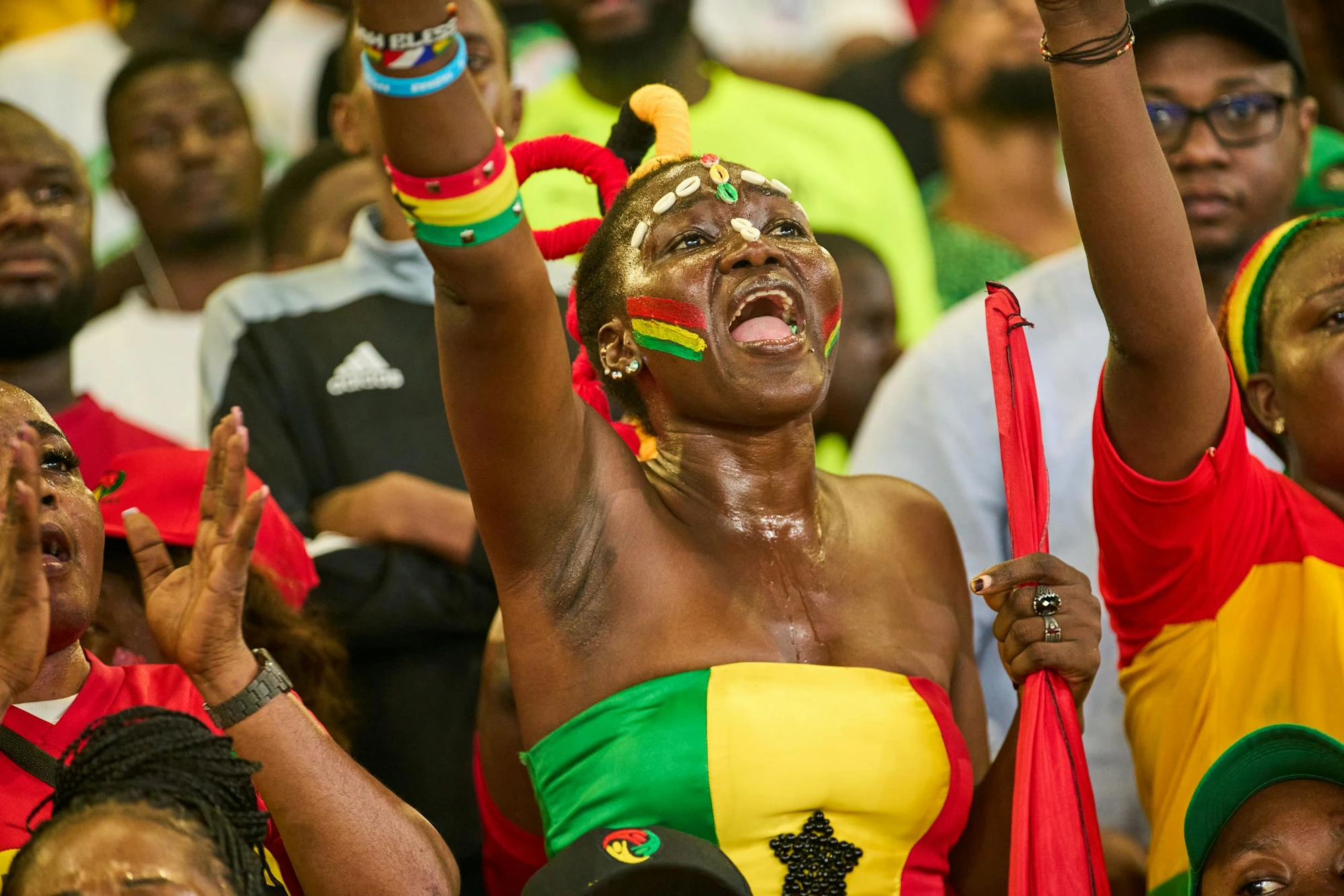 African fans celebrating in the stadium