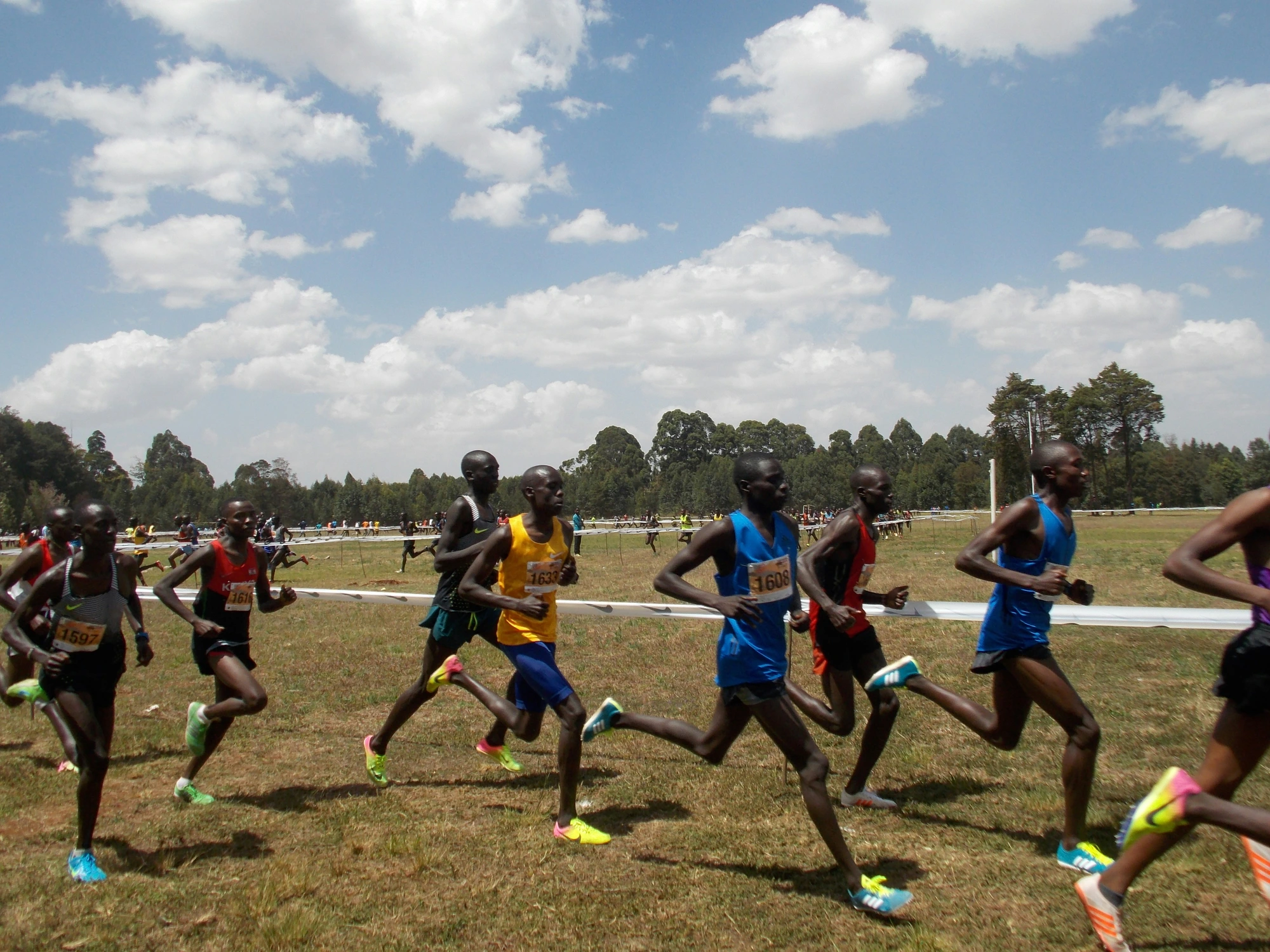 African distance runners in a cross-country pack