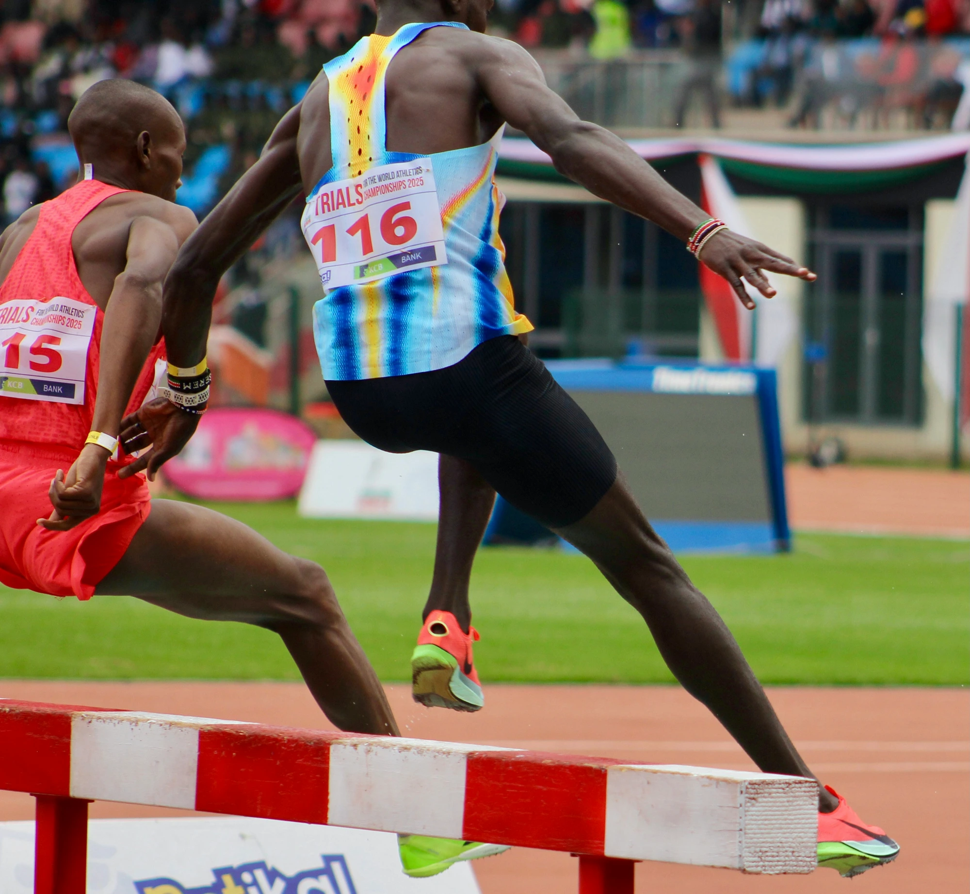 Two hurdlers clearing a barrier at championship trials