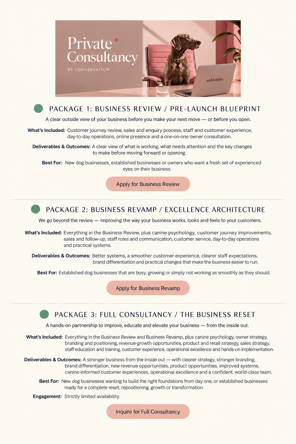 Private Consultancy — 3 Package options