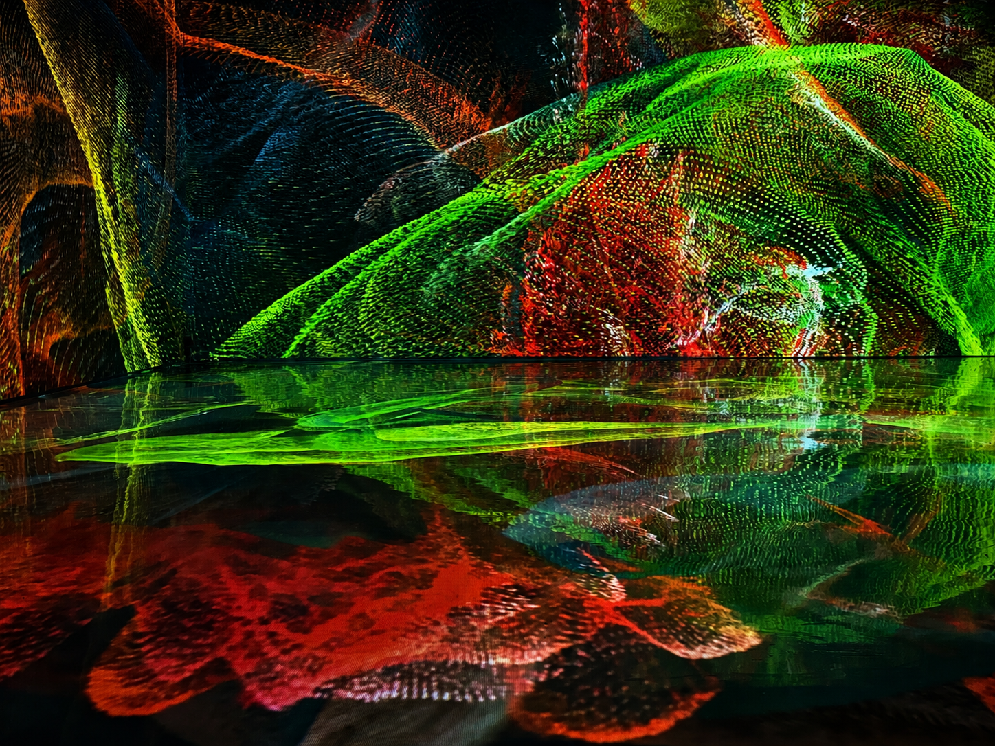 POST-NATURE immersive solo art exhibition in Shanghai detail 3