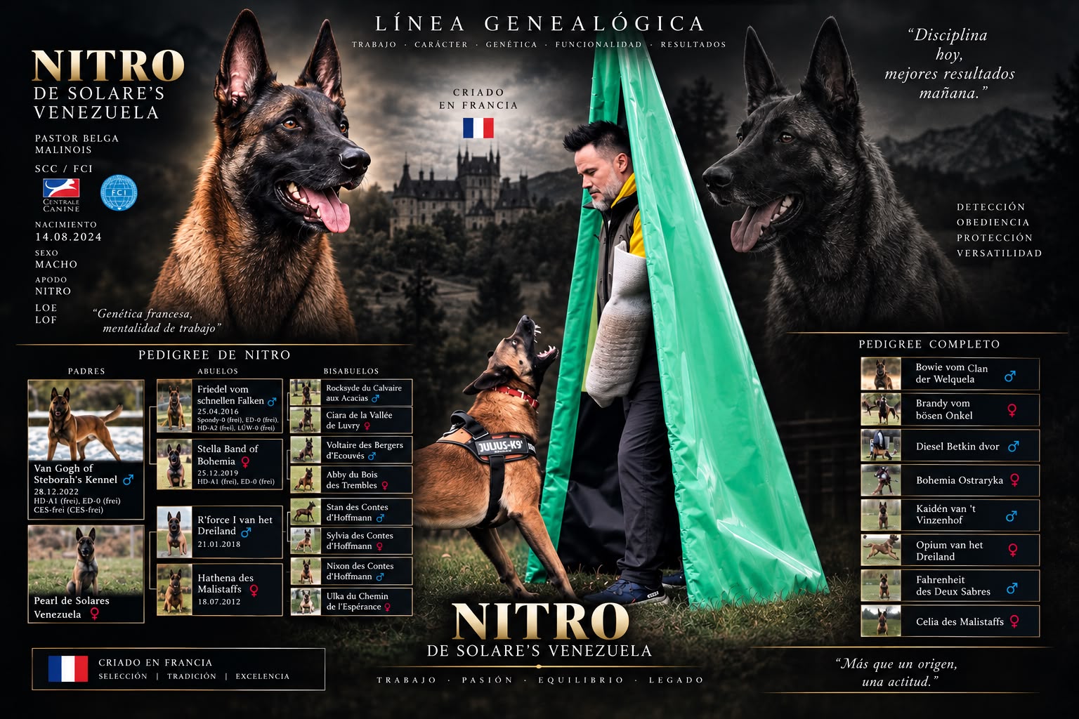 NITRO de Solare's Venezuela — Pastor Belga Malinois · Línea genealógica