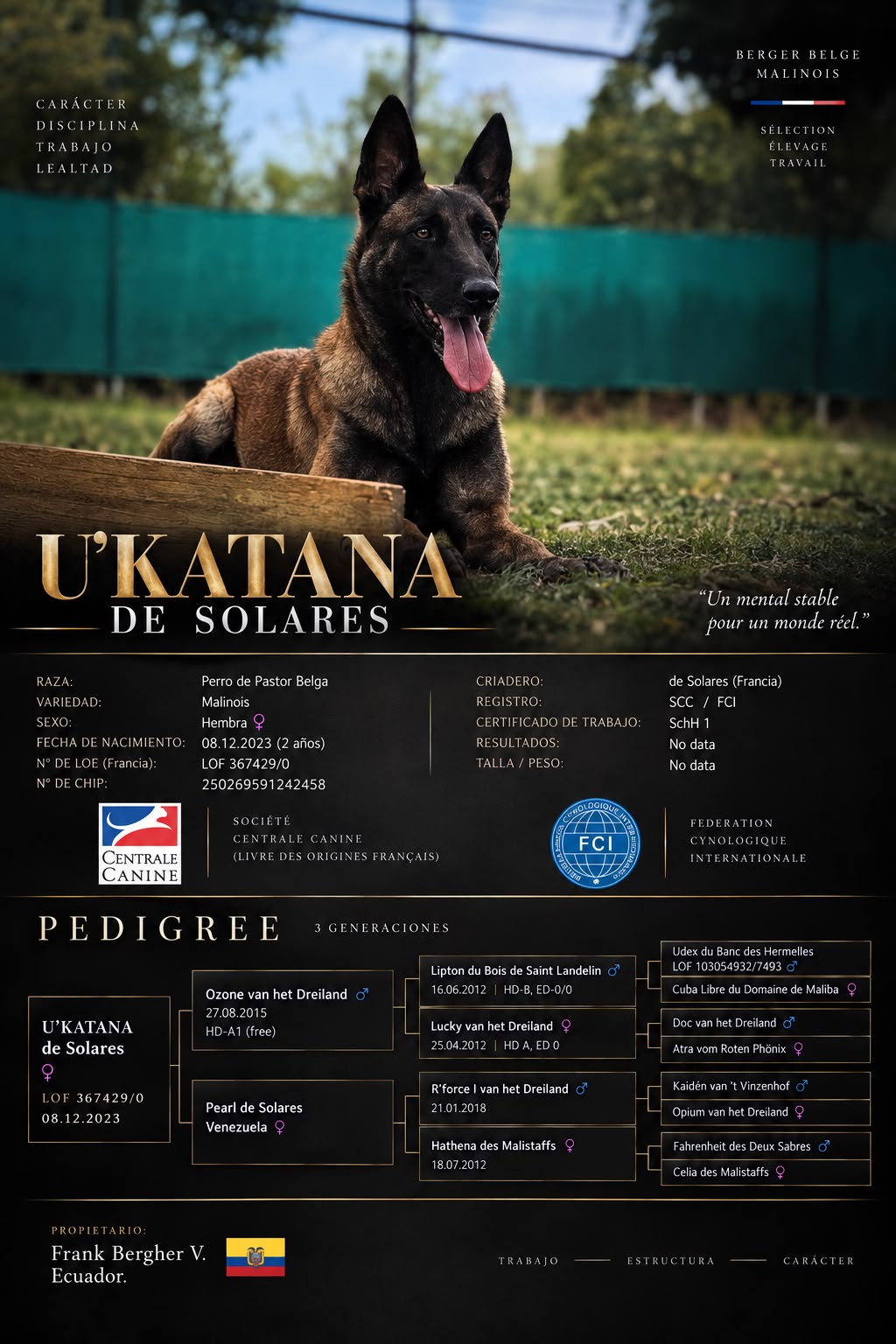 U'KATANA de Solares — Pastor Belga Malinois (Hembra) · Pedigree