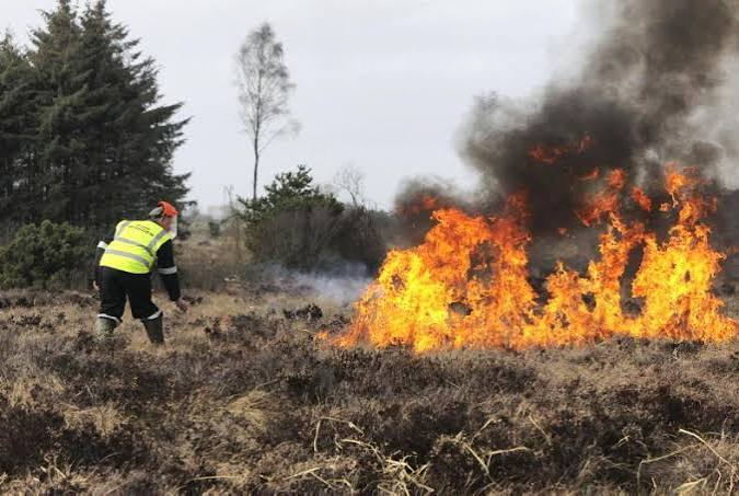 Wicklow firefighters tackle wildfire on Wicklow-Dublin border