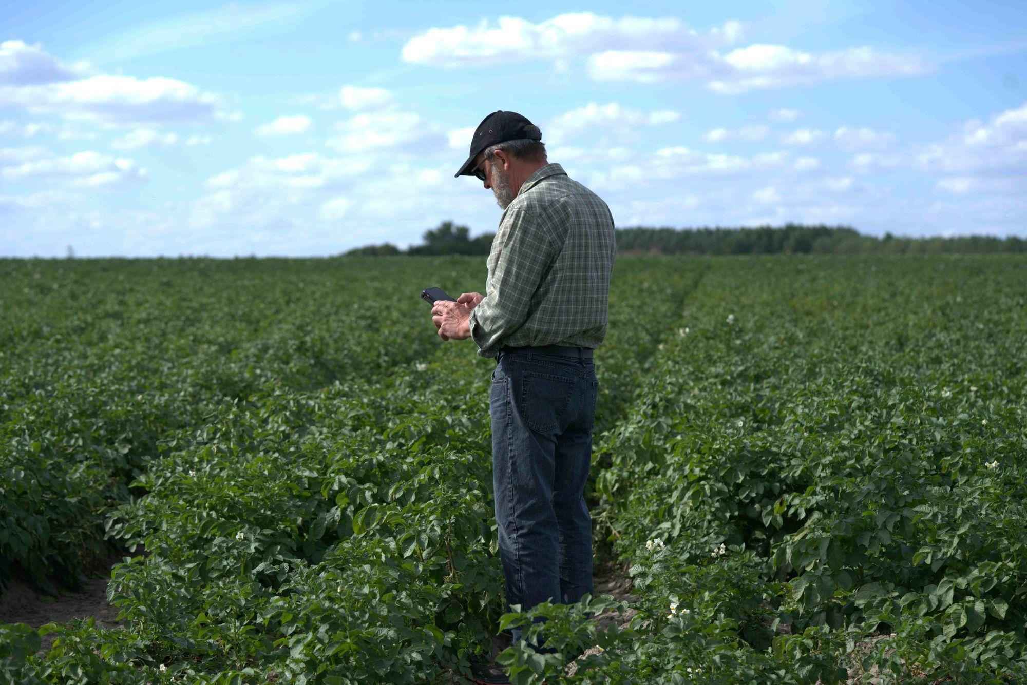 A farmer stands in his potato field, noting today's conditions on his phone. Traditional knowledge, quietly digitised.