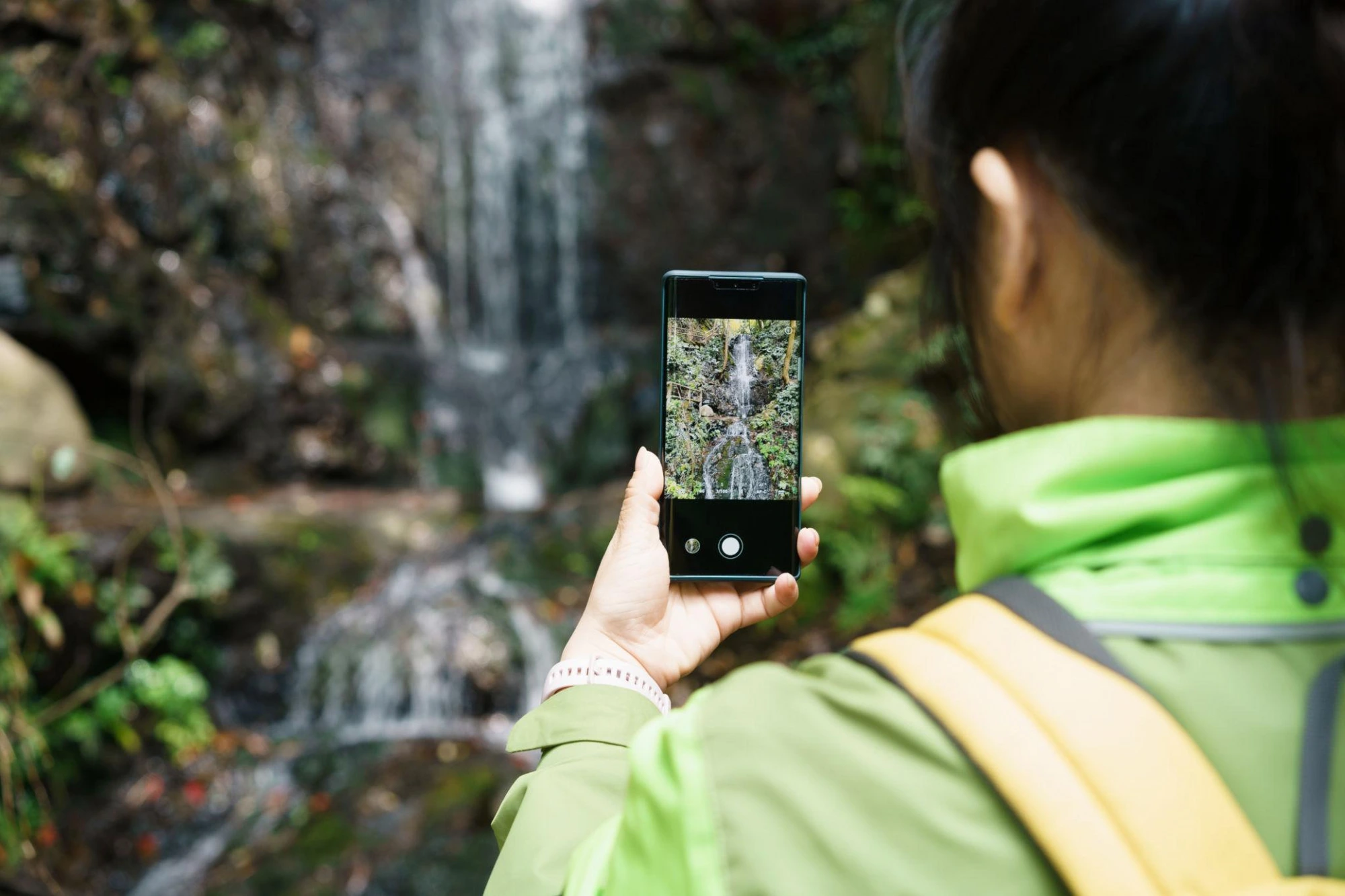 A photograph, a location, a date — an observation is born.