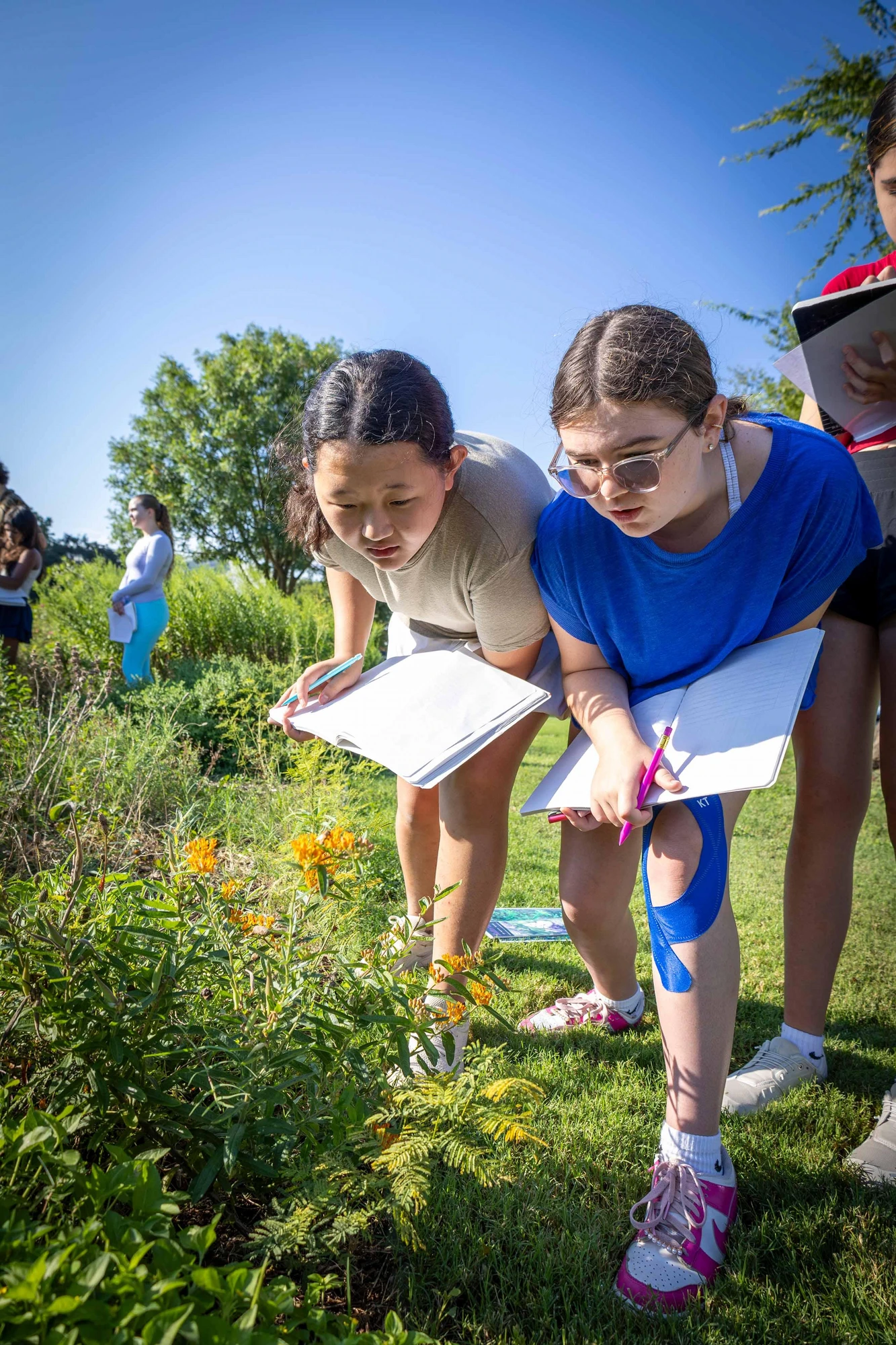 Two students stoop over a patch of milkweed and ferns, notebooks open. The planet becomes the classroom.