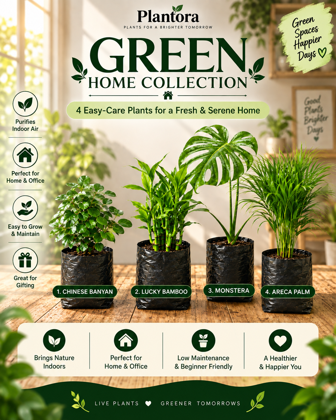 Green Home Collection