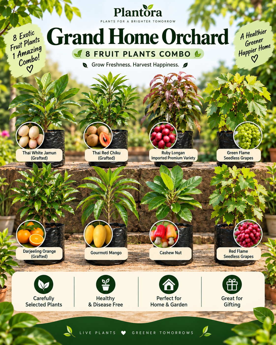 Grand Home Orchard Combo