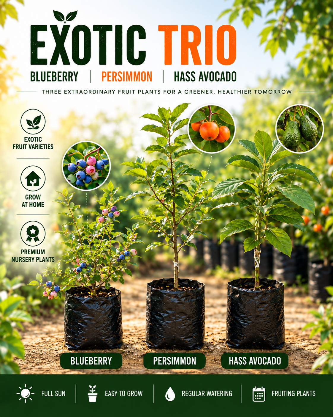 Exotic Trio