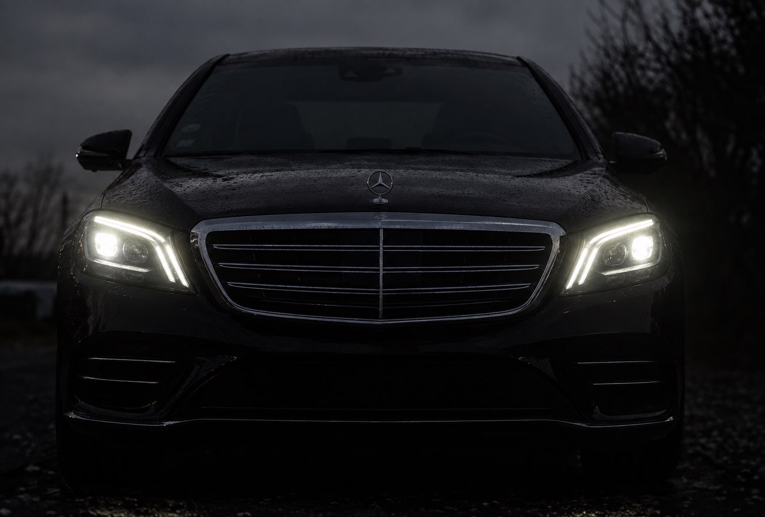 Rive Prestige